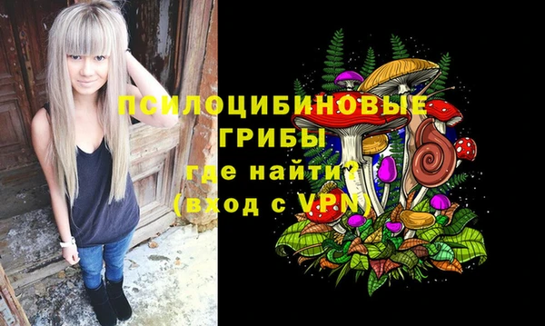 герыч Бронницы